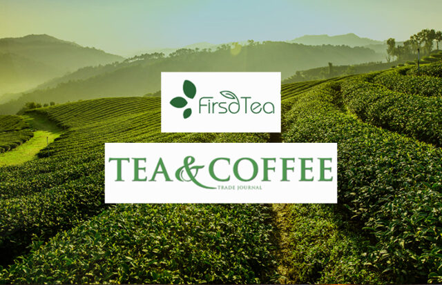 First Report Tea Firsd Tea 2023 Sustainability Perspectives report - Tea & Coffee Trade ...