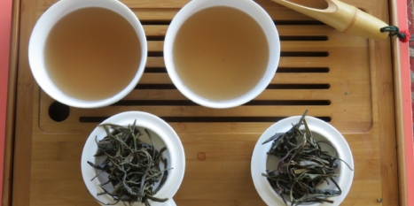 When tea is not a tea: non-Camellia sinensis ‘teas’
