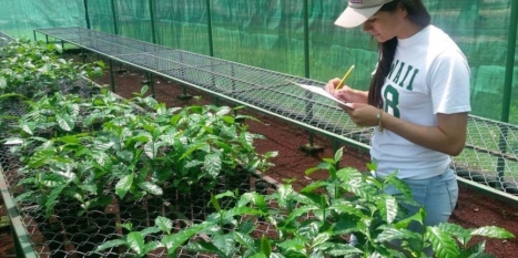 Technologies that meet the challenges facing coffee