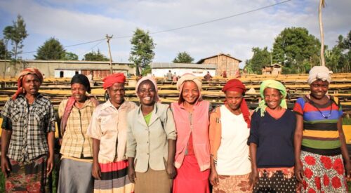 Coffee farmers standing in a line for the photo